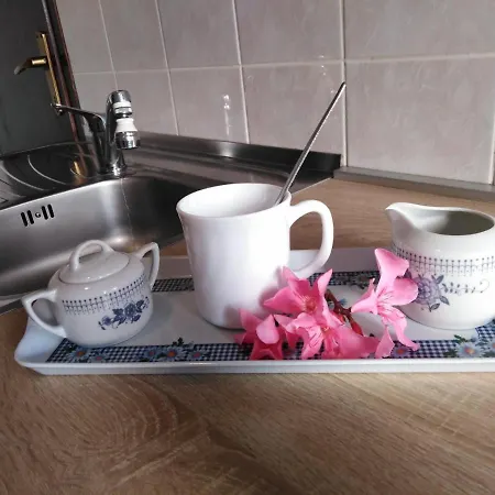 Erika Apartament Pula